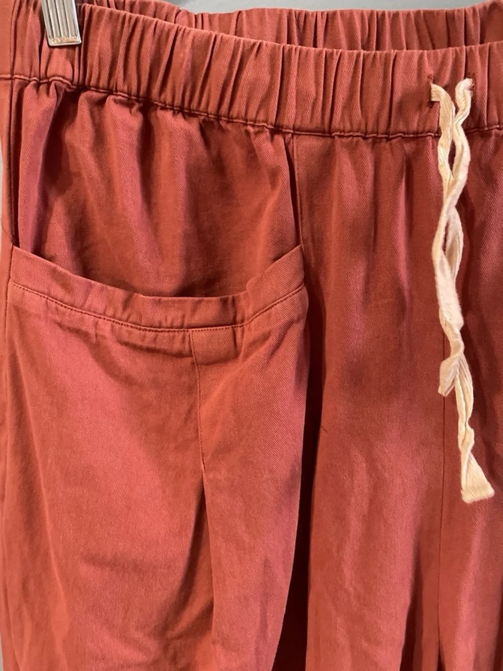 Free People Wild Is The Wind wide-leg pants rust color